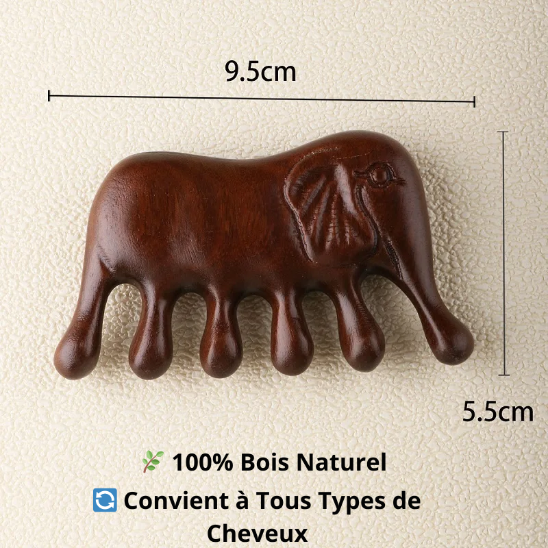 Peigne Massant en Bois Naturel – AMS01