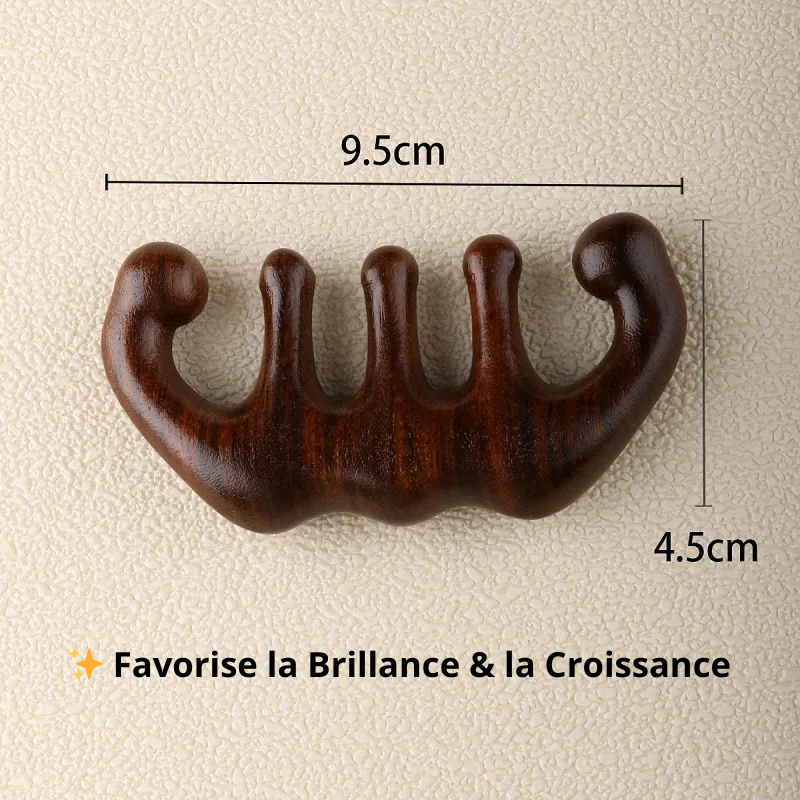 Peigne Massant en Bois Naturel – AMS01