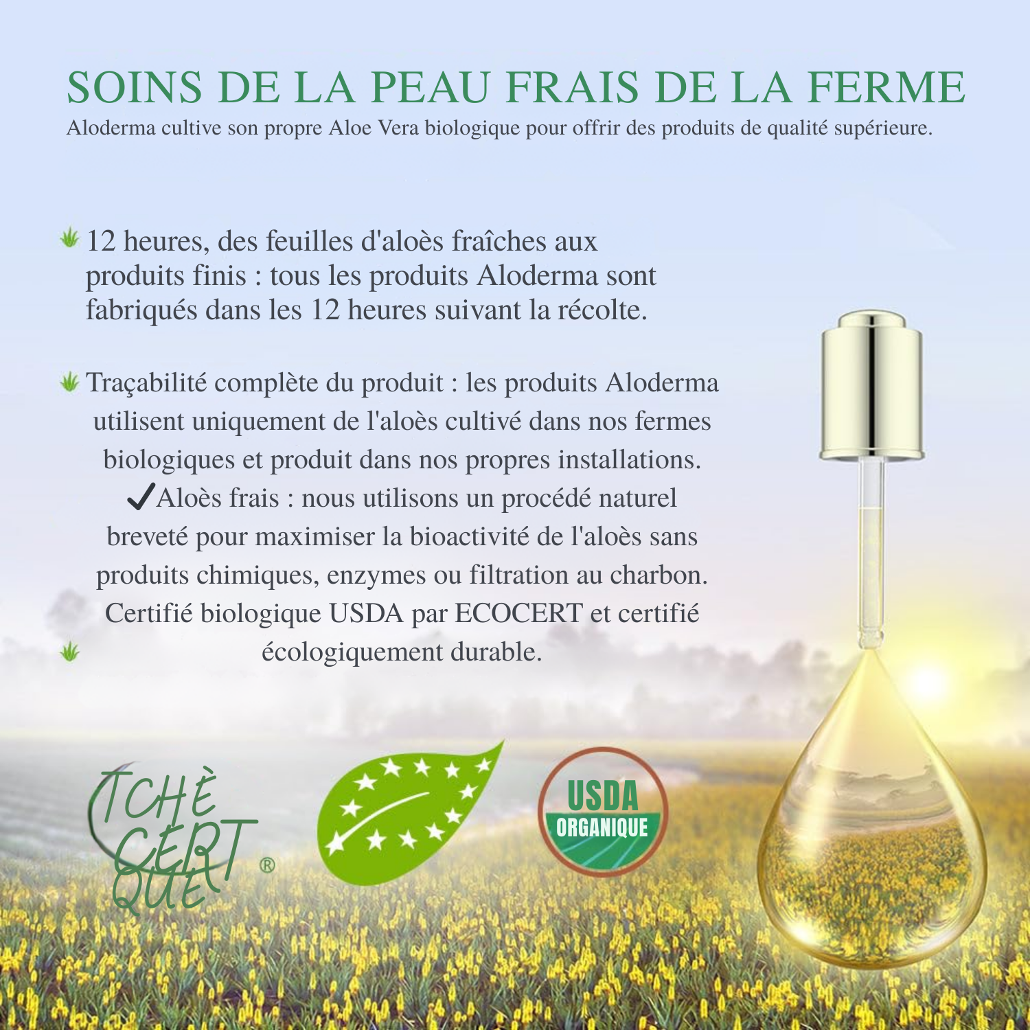 Gel d’Aloe Vera Bio pour Visage & Corps – 96 % Pur, Hydratant Apaisant – 200 ml
