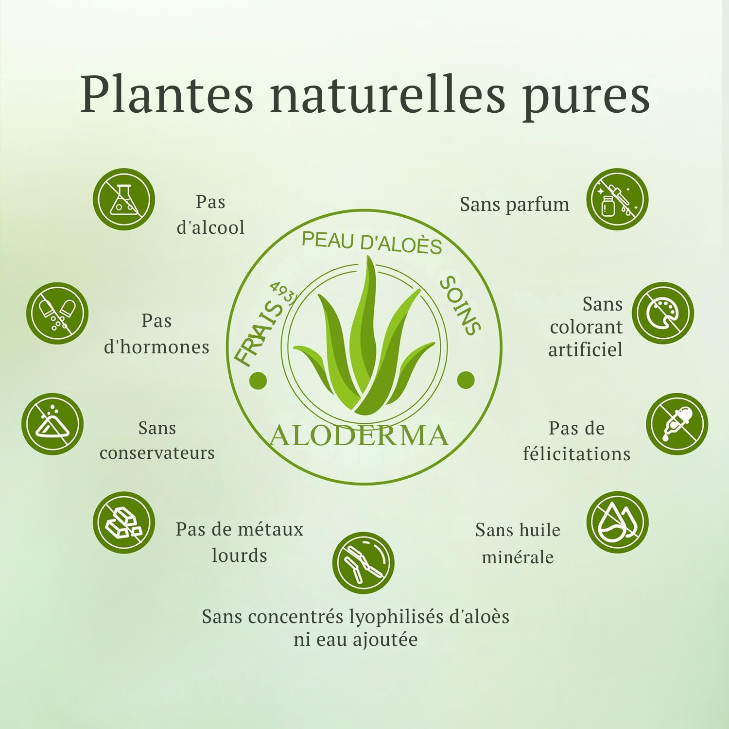 Gel d’Aloe Vera Bio pour Visage & Corps – 96 % Pur, Hydratant Apaisant – 200 ml